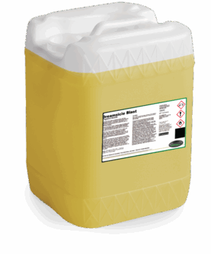 Dreamsicle Blast #10-00086