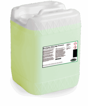 Eucalyptus-Mint HP #10-40033