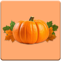 Spice Blast #10-00094